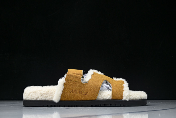 H*RMES  SLIDS   HM-51