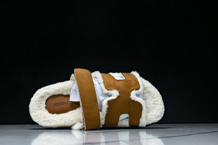 H*RMES  SLIDS   HM-52