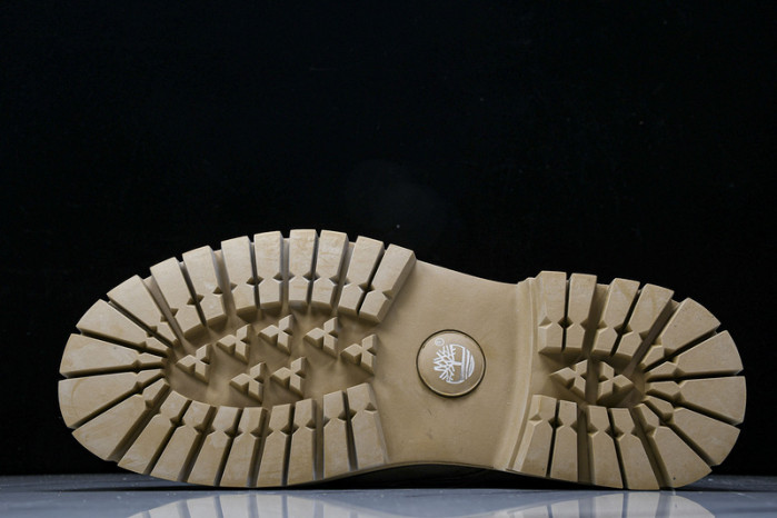 TIMBERLAND SNEAKER  TBL-01