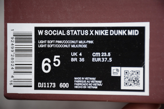 Social Status x Nk SB Dunk High Pro DJ1173-600