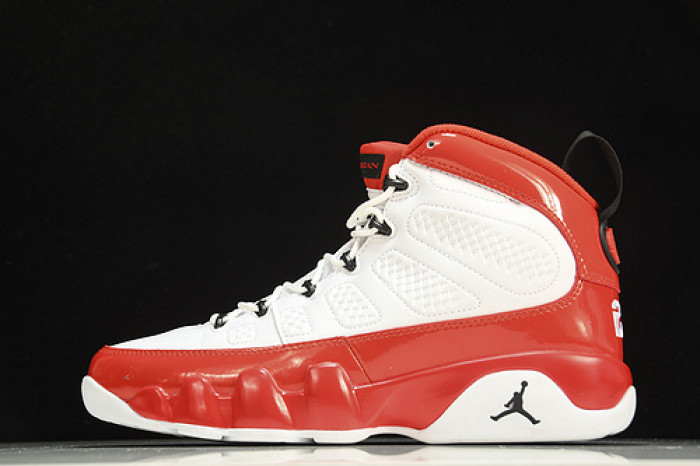 Air Jordan 9 302370-160