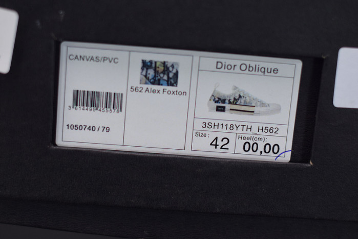 D10R B23 Oblique  Low Top Sneakers L00N4