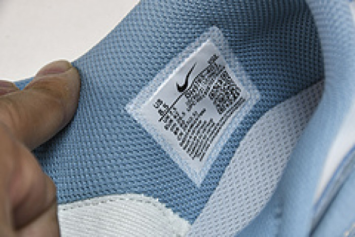 Nike Dunk Low GS  DH9765-401