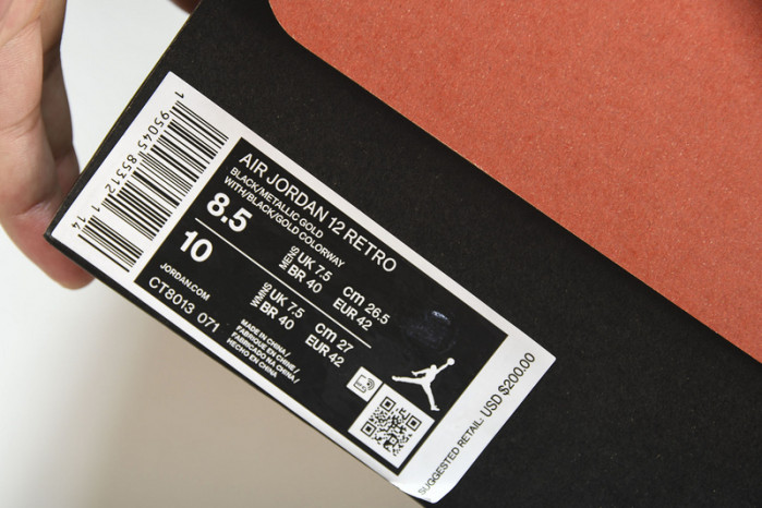 Air Jordan 12 “Black Taxi” CT8013-071