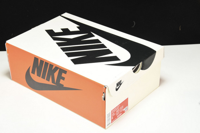 Nike Dunk Low Retro "Lisa Leslie"  DO9581-500