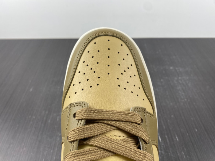 Nike SB Low Dark Driftwood DD1503-200