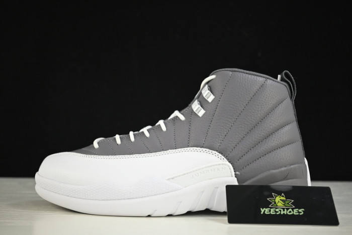Air Jordan 12 AJ12 Royalty STEALTH  CT8013-015