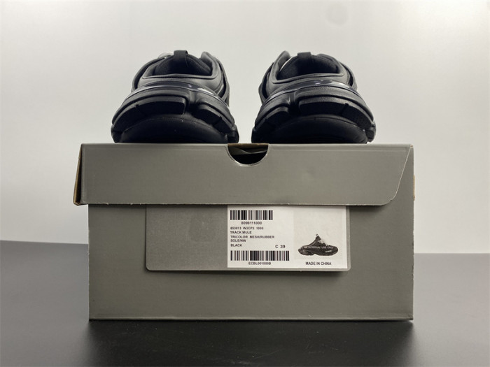 BLCG Track slides 653813 W3CP3 1000