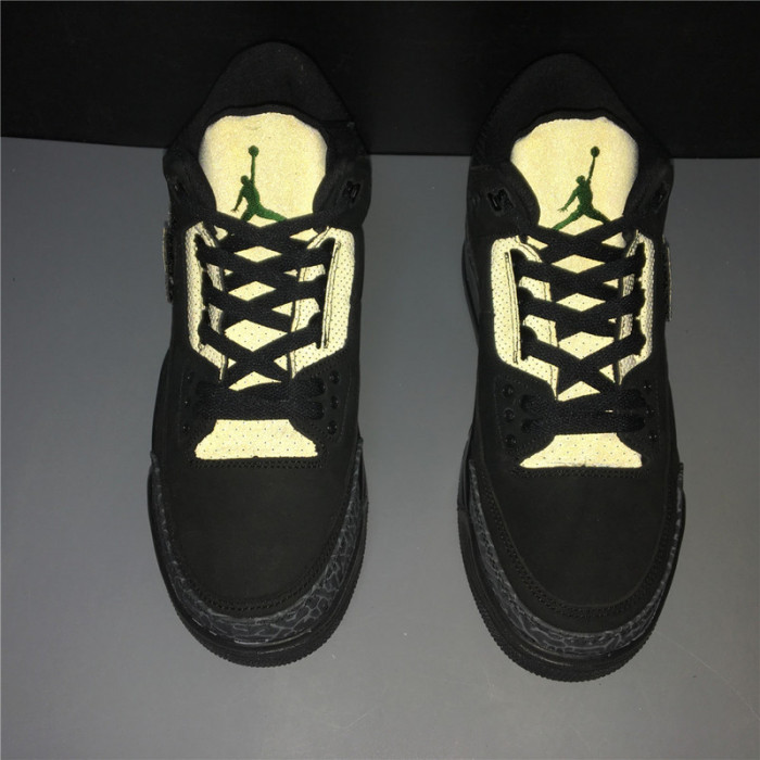 Air Jordan 3 Retro Oregon Duck AJ3-902027